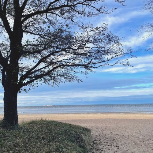 Приморский Парадиз — Сестрорецк, Репино, Комарово и Зеленогорск. Индивидуальная экскурсия