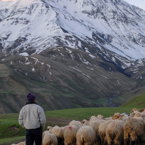 Выше только звёзды: восхождение на Базардюзю с фотосъёмкой (мини-группа)