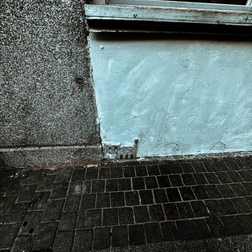 Тайная жизнь дворов и доходных домов Петербурга