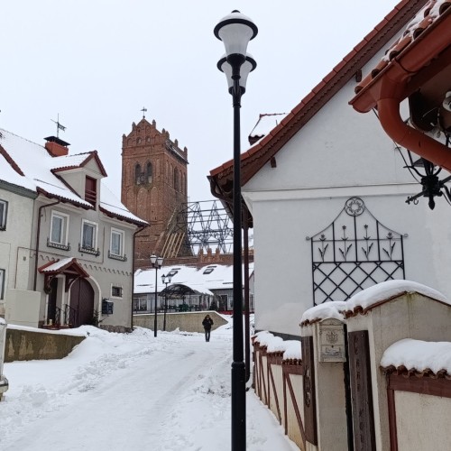 Прусские воительницы и великие полководцы 19 века