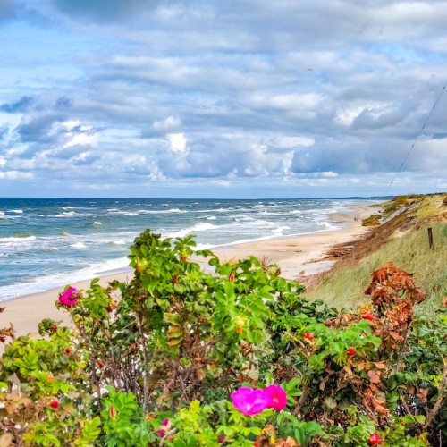 Первый раз в Калининград: истории знаковых мест и редко посещаемых локаций