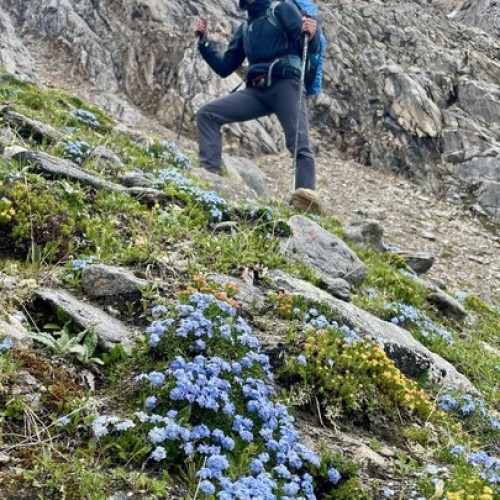 В горы Южной Сибири на Шумак: поход для опытных с рюкзаками и палаткам