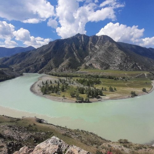 Нескучный Чуйский