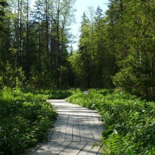 «Сердце-озеро» Зюраткуль