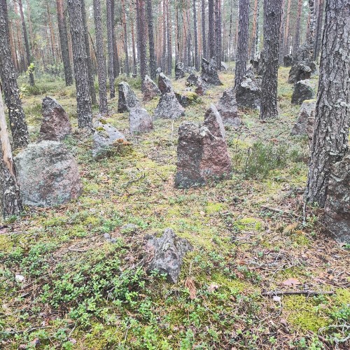 По тропам линии Маннергейма: подземные бункеры в карельских лесах