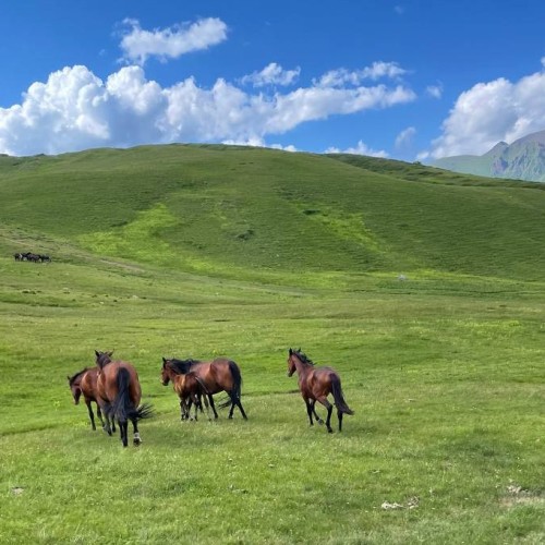 Семейный тур в Архыз с гидом-аниматором: несложные треккинги в живописных горах