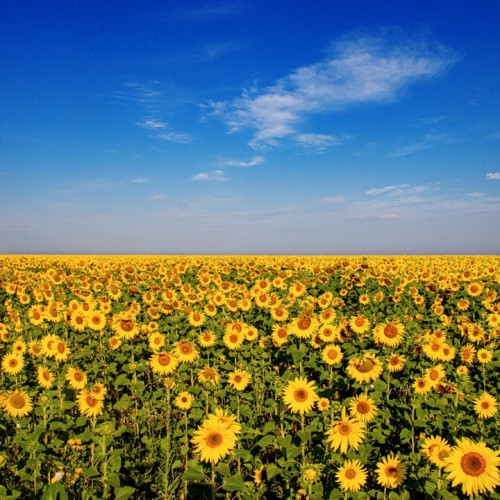 Алтай по максимуму: горные перевалы, прогулка по Телецкому озеру и высадка на Марсе