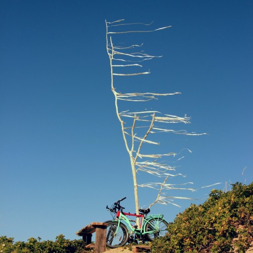 Кёнигсбергская перезагрузка: Калининград, Янтарный и Балтийск с проживанием в экоотеле на побережье