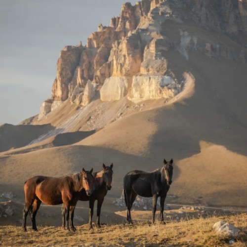 Приключения среди Кавказских гор: от плато Бермамыт до Чегемских водопадов