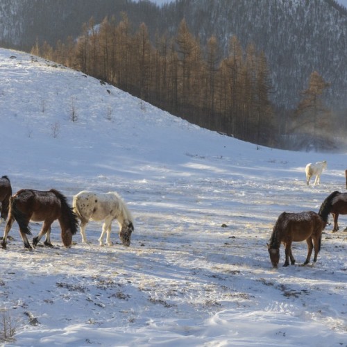 Алтайские чудеса: водопады, горы, озёра и марсианские пейзажи в мини-группе