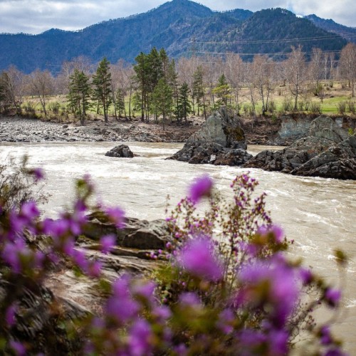 Путешествие по долине реки Катунь — из Горно-Алтайска
