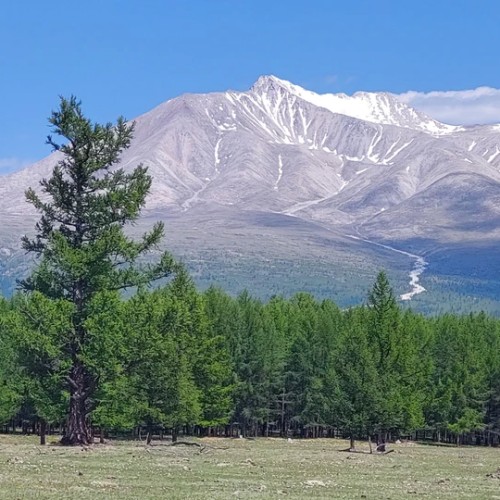 Подальше от цивилизации к озеру Хубсугул: индивидуальная поездка по Северной Монголии из Иркутска