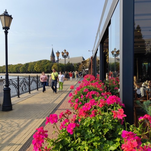 Индивидуальное знакомство с Калининградом и областью: экскурсии, прогулки и концерт