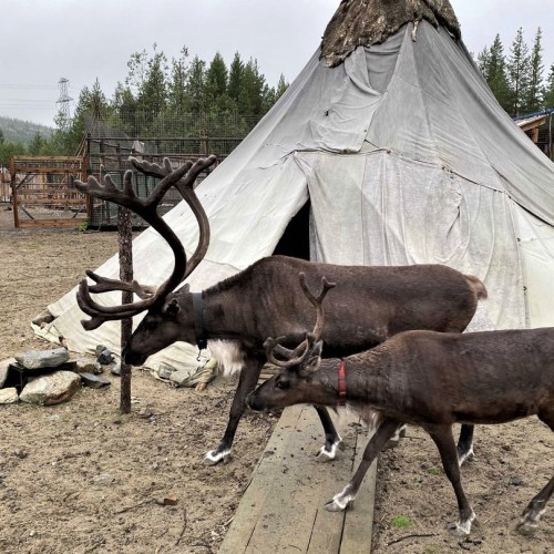 Вкусное путешествие на край света в мини-группе: Мурманск и Териберка