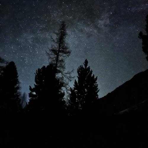 Суперактивный день на Алтае — всё включено