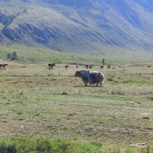 По знаковым местам Чуйского тракта в мини-группе
