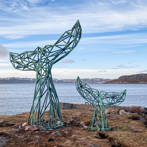 За атмосферой Арктики: тур из Мурманска в Териберку с дегустацией и прогулками по главным местам