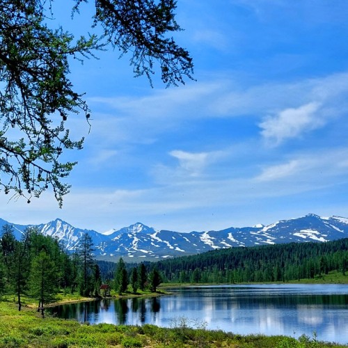 Насыщенный треккинг-тур по Алтаю с размещением на турбазах: более 25 локаций