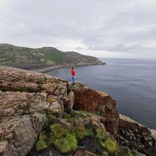 Наедине с северной природой: выходные в лесу с прогулками по Териберке и Мурманску
