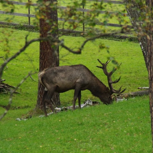 Всё включено в заповедной Башкирии с проживанием в модульном доме и душевной лепкой пельменей