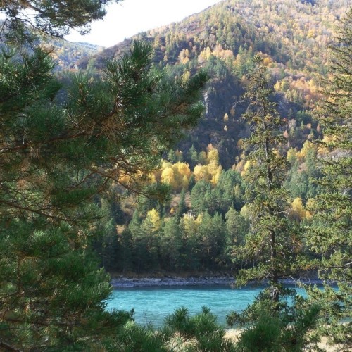 Отдыхаем на Алтае: природа и сакральные места