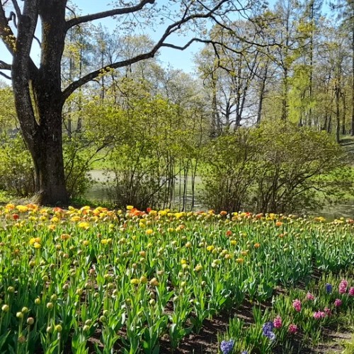 Гатчина: от императорской резиденции до столицы Ленинградской области