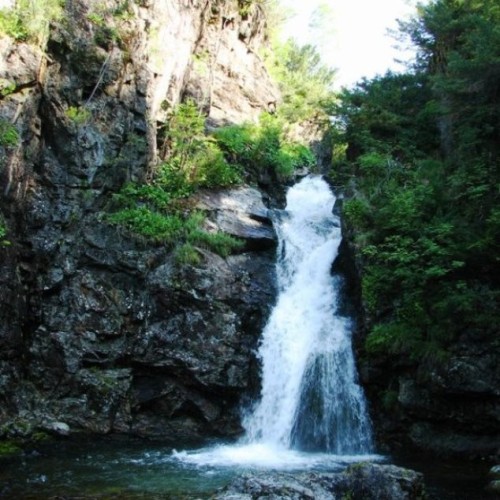 Скрытая жемчужина бурятских лесов: активный отдых с палатками (всё включено)