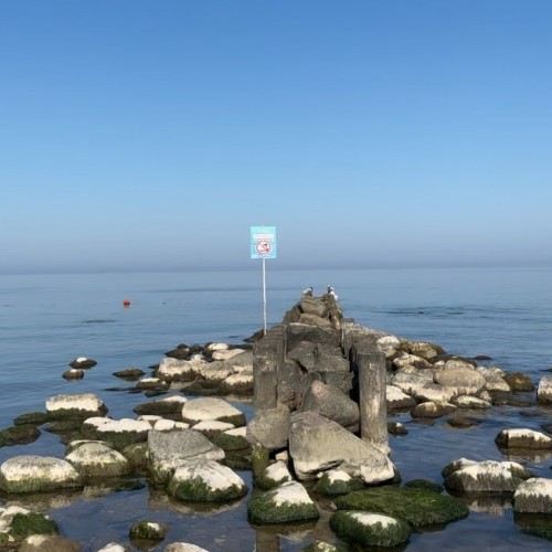 Индивидуально в Калининград: экскурсии, пикник на берегу и прогулка на катере