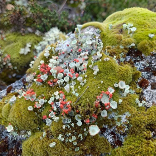 Активный тур на Кольский: Мурманск, Териберка, Хибины и полуострова Рыбачий и Средний