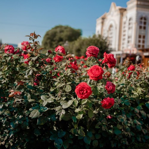 Домбай и Приэльбрусье на внедорожнике (мини-группа)