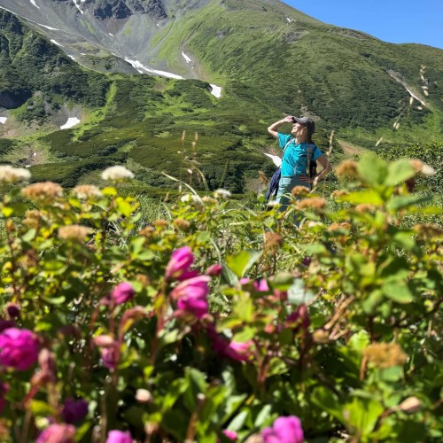 Там с коптера видны вулканы: экспедиция по Камчатке с выходом в море
