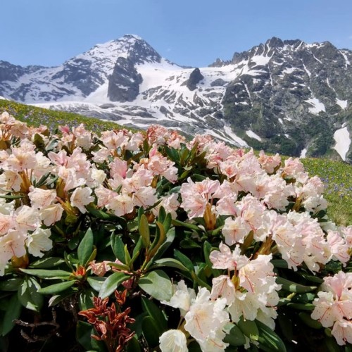 Край разноцветных озёр: треккинг налегке в Архызе с проживанием в палатках