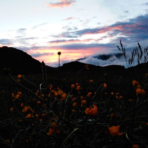 Высокогорный треккинг вокруг Эльбруса в Джилы-Су с проживанием в палатках