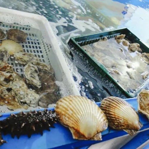 Гастрономическое путешествие в русский Сан-Франциско