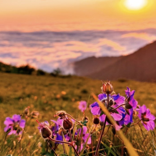 Трансформация в горах Сочи: практики с психологом, пикник, наблюдение за звёздами и фотосессия