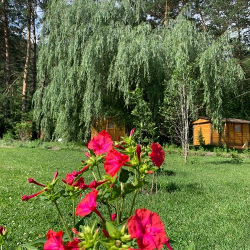 Сказочный Алтай: местные промыслы и природные достопримечательности