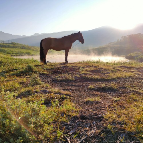Камчатский максимум: конные прогулки, джипы, вулканы и рыбалка в Тихом океане