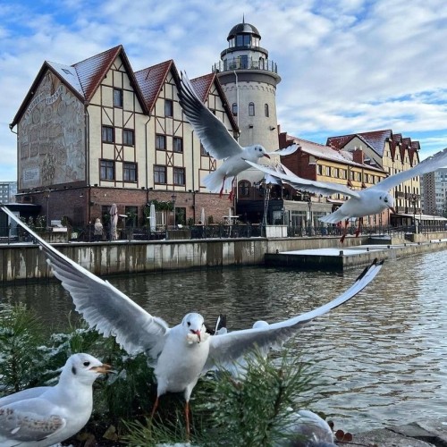 Увидеть, узнать и распробовать Калининград: 8 городов, экскурсии, гастрономия в мини-группе