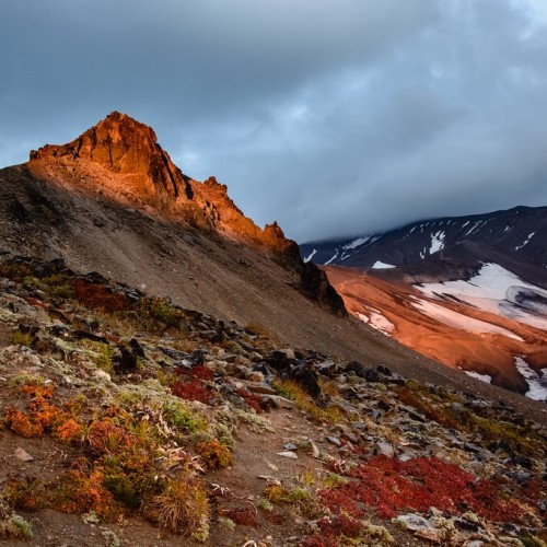 На Камчатке — вкусно есть: гастротур с рыбалкой и крабовой вечеринкой у океана