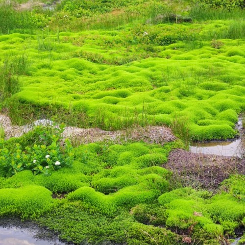 Индивидуально по Камчатке на джипе: столица, топовые локации, вкусы