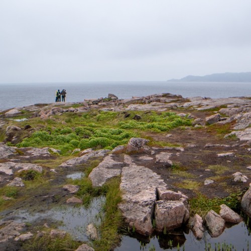 3 дня за полярным кругом: тур с проживанием в купольном отеле премиум-класса
