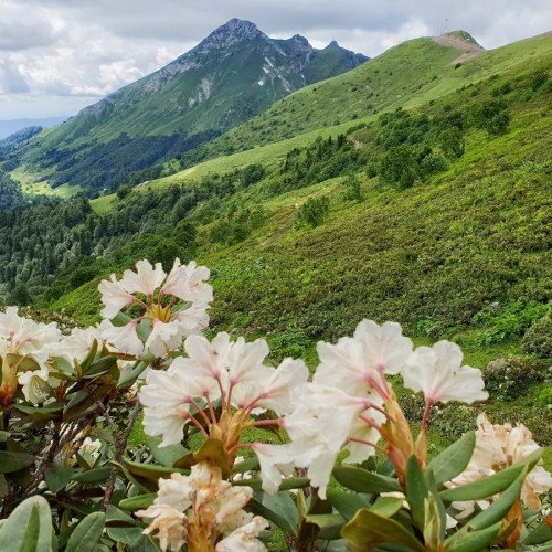 Треккинг к вершинам хребта Аибга