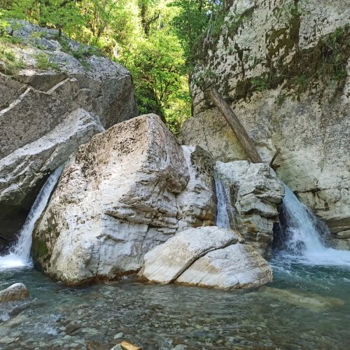 Большой тур по Сочи: природа, архитектура, история