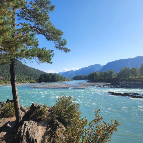 Автотур по Алтаю: смотреть во все глаза