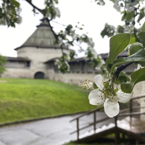 Индивидуальное путешествие в Древнюю Русь: Псков, Печоры и Изборск