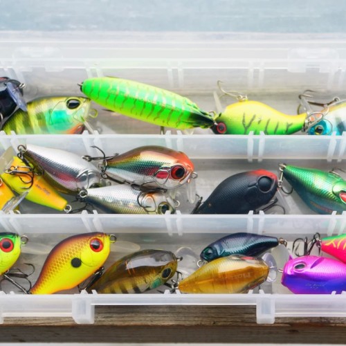 Выходные на Угре: рыбалка с обучением и отдых на природе (всё включено)