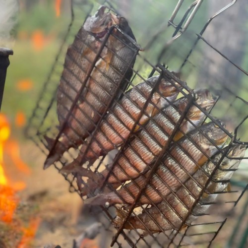 Богатство Байкала: рыбалка на реках и в диких местах на озере с катера