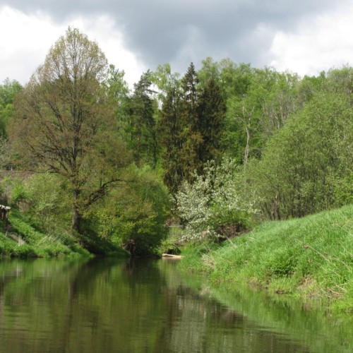 Первый раз с веслом в руках: лёгкий сплав по реке Воре (всё включено)