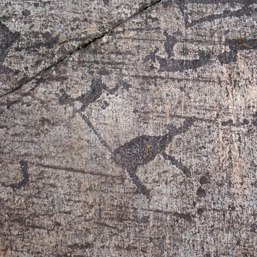 Ваше персональное путешествие вглубь веков: петроглифы, Кижи и Соловецкий монастырь