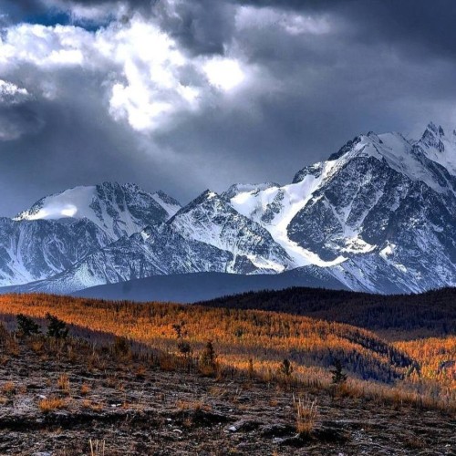 Шёлковый путь Алтая — из Горно-Алтайска